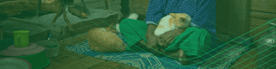Image related to Inclusion Body Myositis (IBM)